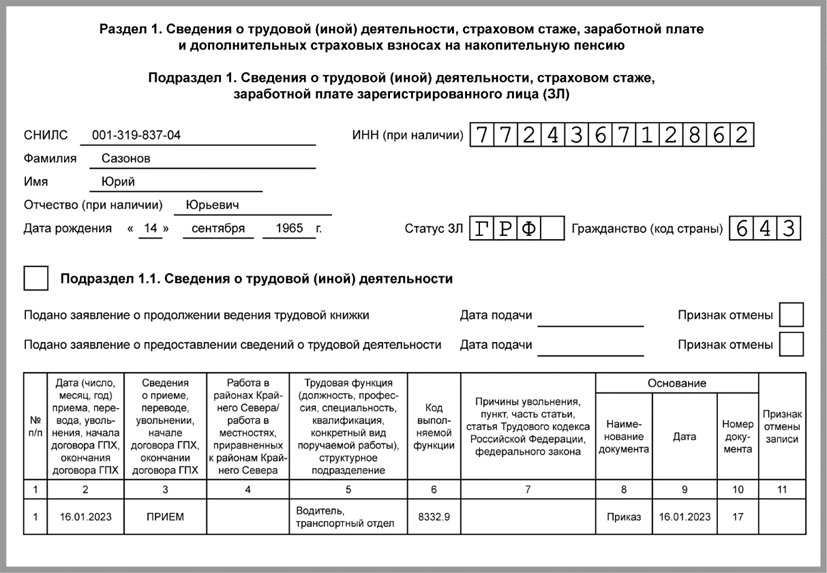 Новый отчет ефс1 образец